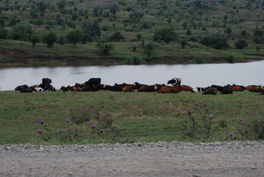 Similar image 22477746