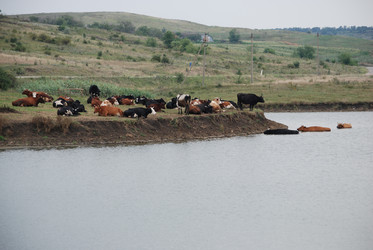 Similar image 22477747