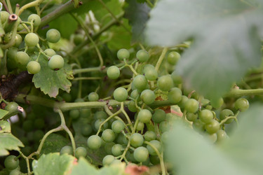 Similar image 22477758