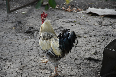 Similar image 22477759