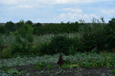 Similar image 22477760