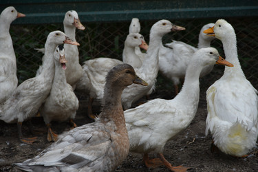 Similar image 22477761