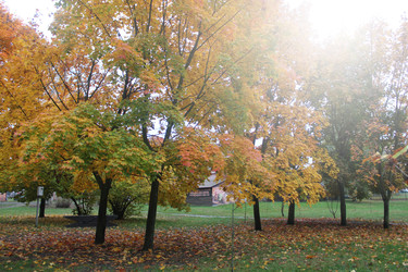 Similar image 22501365