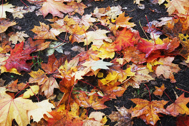 Similar image 22501375