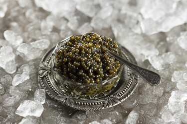 Similar image 22501859