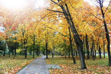 Similar image 22501376