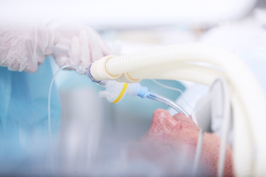 Similar image 22501815