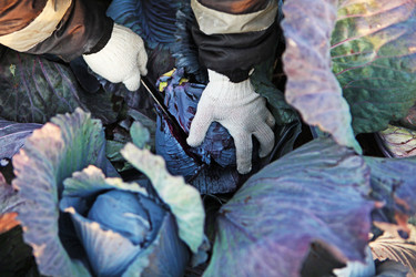 Similar image 22501816