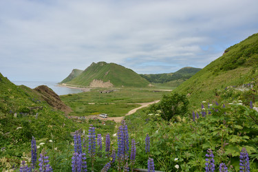 Similar image 22581995