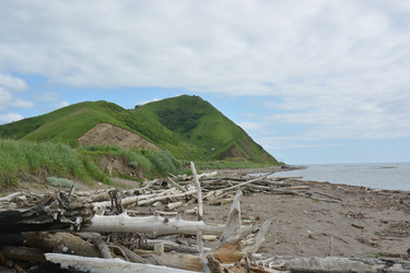 Similar image 22581996