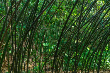 Similar image 22490033