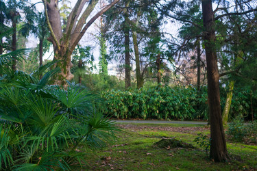 Similar image 22490034