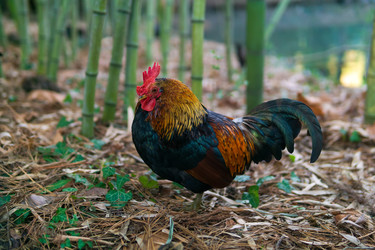 Similar image 22490036