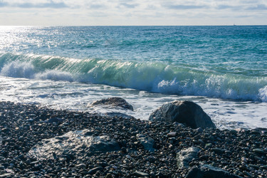 Similar image 22490037