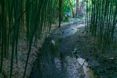 Similar image 22490039