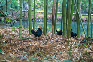 Similar image 22490040