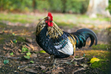 Similar image 22490041