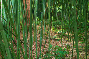 Similar image 22490042