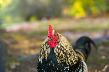 Similar image 22490044