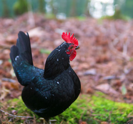 Similar image 22490047