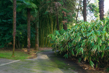 Similar image 22490048