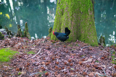 Similar image 22490018