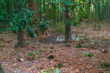 Similar image 22490045