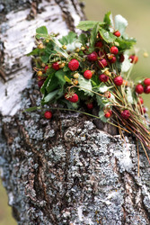 Similar image 22478180