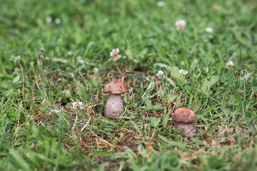 Similar image 22478193