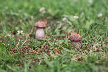 Similar image 22478207