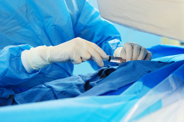 Similar image 22501940