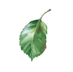 Similar image 22497727