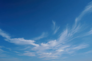 Similar image 22555390