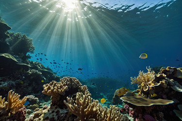 Similar image 22489187