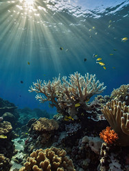 Similar image 22489213