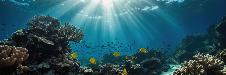 Similar image 22488804