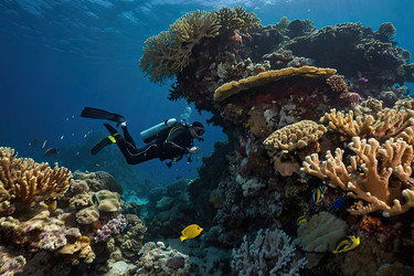 Similar image 22489018