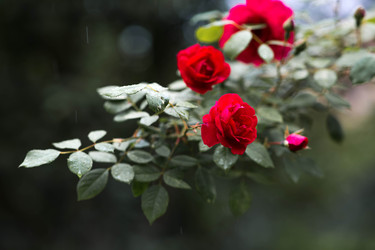 Similar image 22478315