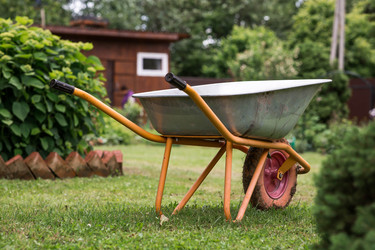 Similar image 22478316