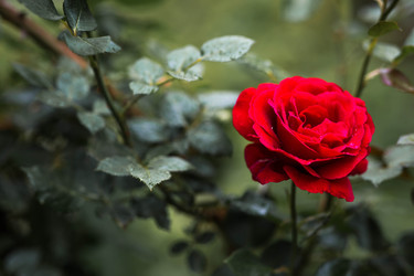 Similar image 22478331