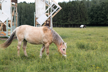 Similar image 22478347