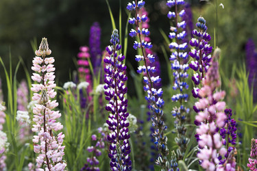 Similar image 22478358