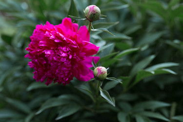 Similar image 22478359