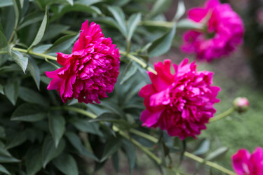 Similar image 22478361