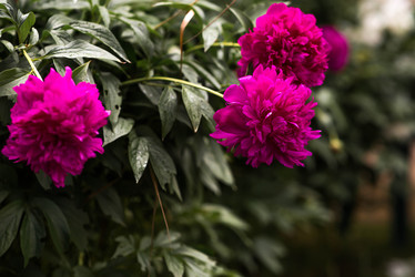 Similar image 22478362