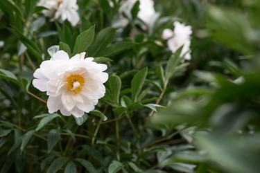 Similar image 22478373