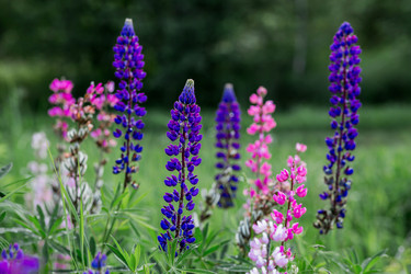 Similar image 22478374