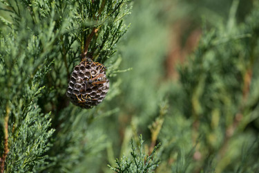 Similar image 22478375