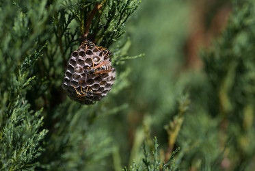 Similar image 22478390