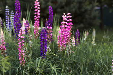 Similar image 22478392